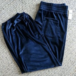 Saturday/Sunday Navy Velour Joggers